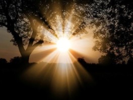 黑岛怎么走，黑海岛屿