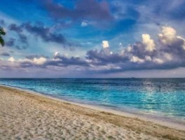 上海有哪些旅游景点，上海有哪些旅游景点免费的