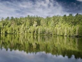 郴州旅游美食攻略(郴州有什么美食)