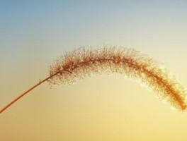 去一中怎么走，一中学校怎么走