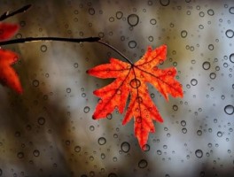 加格达奇到黑河怎么走，黑河到加格达奇最近公路