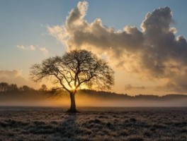 推出好多优惠的美食和旅游资源(旅游期间为什么大部分的游客都会购买当地美食)
