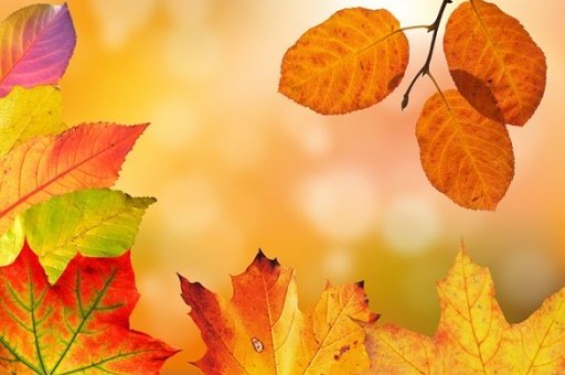 周末旅游景点推荐河南郑州,郑州市十大旅游景点 周末旅游景点推荐河南郑州,郑州市十大旅游景点