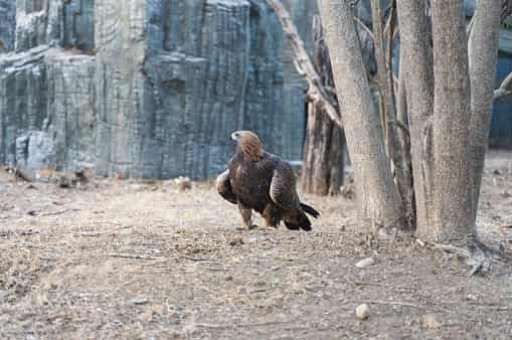 美食旅游线路设计的意义是什么意思(旅游共享经济是什么意思) 美食旅游线路设计的意义是什么意思(旅游共享经济是什么意思)