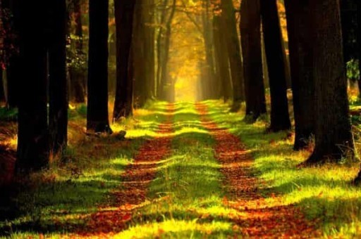 西安东线旅游美食(西安旅游美食全攻略) 西安东线旅游美食(西安旅游美食全攻略)