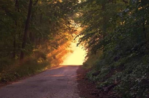 亲笔写下西安旅游美食攻略(到西安旅游有什么必吃的美食) 亲笔写下西安旅游美食攻略(到西安旅游有什么必吃的美食)