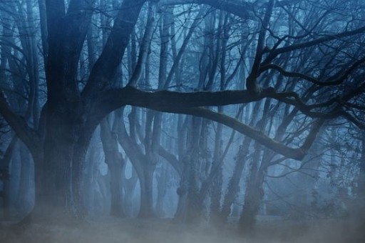 青岛自助旅游攻略哪找(北京旅游攻略3日游) 青岛自助旅游攻略哪找(北京旅游攻略3日游)