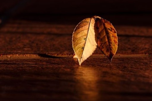 西安美食旅游发展研究(西安饮食文化有哪些) 西安美食旅游发展研究(西安饮食文化有哪些)