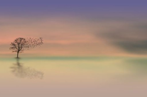 西安旅游景点美食排名前十名(西安十大美食名吃有哪些) 西安旅游景点美食排名前十名(西安十大美食名吃有哪些)