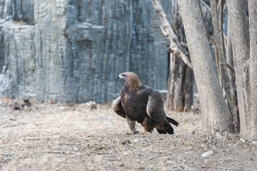 四川台美食旅游(四川有哪些旅游景点及美食) 四川台美食旅游(四川有哪些旅游景点及美食)