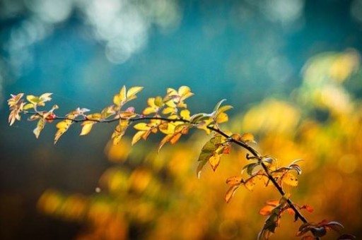 甘肃附近旅游景点推荐,甘肃相邻省份有什么景点 甘肃附近旅游景点推荐,甘肃相邻省份有什么景点