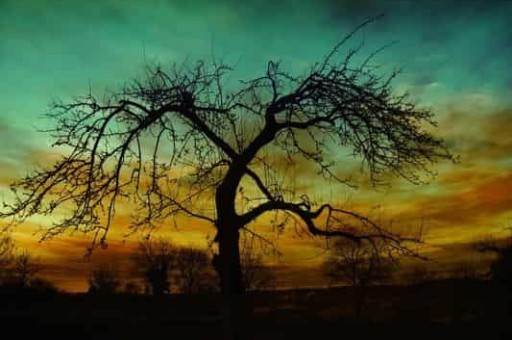 包头到五当召怎么走,从包头到五当召 包头到五当召怎么走,从包头到五当召