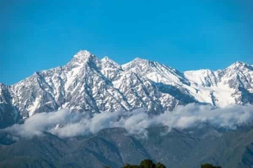 西安旅游攻略网红美食街在哪儿(长沙美食街在哪里长沙网红美食街) 西安旅游攻略网红美食街在哪儿(长沙美食街在哪里长沙网红美食街)