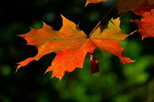 扬州旅游景点攻略票价表,扬州景点攻略 扬州旅游景点攻略票价表,扬州景点攻略