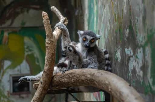 辽宁周边旅游景点推荐,辽宁境内自驾游最佳路线 辽宁周边旅游景点推荐,辽宁境内自驾游最佳路线