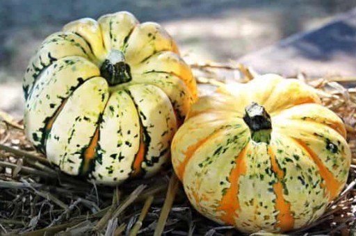 国庆绍兴旅游景点攻略一日游多少钱,绍兴一日游最佳景点 国庆绍兴旅游景点攻略一日游多少钱,绍兴一日游最佳景点