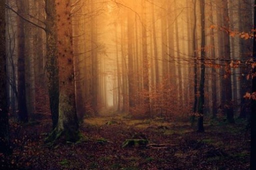 西安旅游集团旗下美食品牌有哪些商标(餐饮品牌都有哪些) 西安旅游集团旗下美食品牌有哪些商标(餐饮品牌都有哪些)